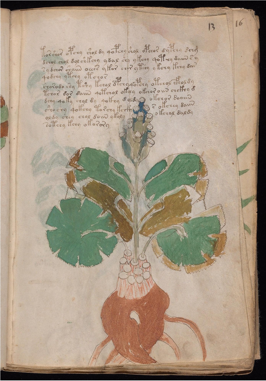 Original manuscript of Folio 13r